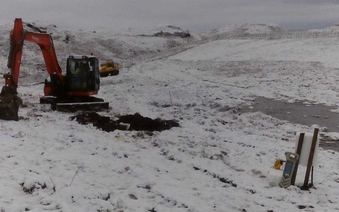 February 2020, Winter fieldworks in Ballygowan, Oban